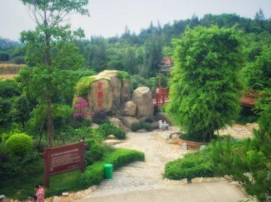 忠義石_美翻了！翔安這香山50畝花海綻放，小伙伴們約起來(lái)！