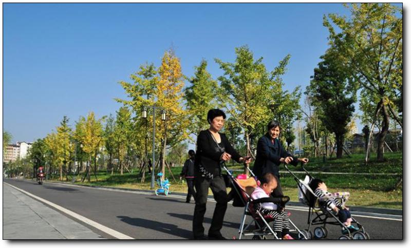 濱湖路 (2)_濱湖路好玩嗎_濱湖路怎么去(在哪里)_濱湖路門(mén)票多少錢(qián)?_濱湖路