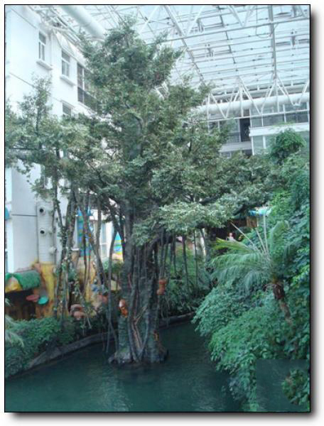 聯邦生態(tài)園 (1)_聯邦生態(tài)園