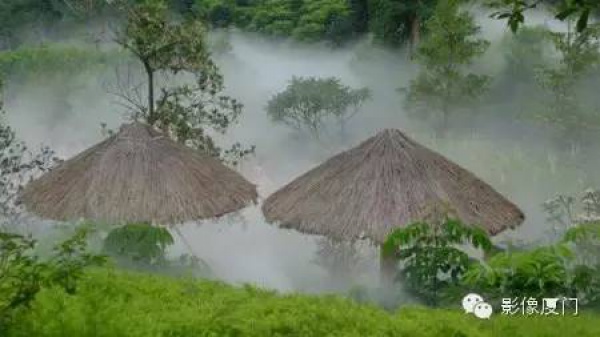 就在海滄，此地四季花海、云霧繚繞，宛如仙境！你去過嗎？
