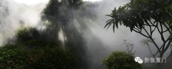 就在海滄，此地四季花海、云霧繚繞，宛如仙境！你去過嗎？