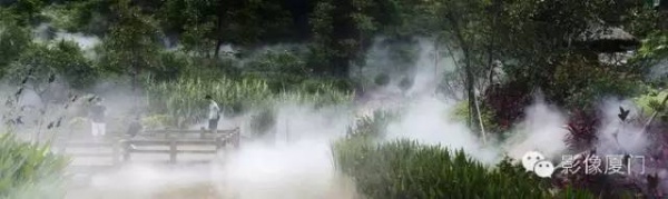 就在海滄，此地四季花海、云霧繚繞，宛如仙境！你去過嗎？