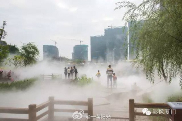 就在海滄，此地四季花海、云霧繚繞，宛如仙境！你去過嗎？