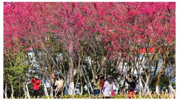 《跑男》要來集美啦！他們竟然要去……