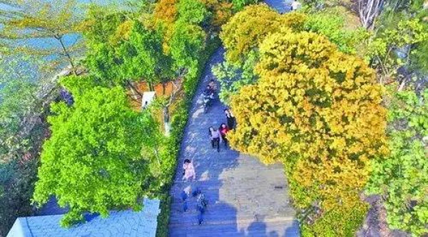 《跑男》要來集美啦！他們竟然要去……