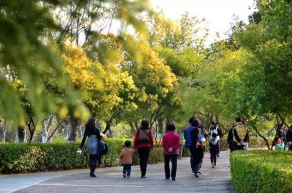 《跑男》要來集美啦！他們竟然要去……