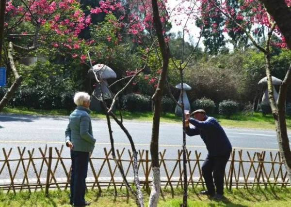 《跑男》要來集美啦！他們竟然要去……