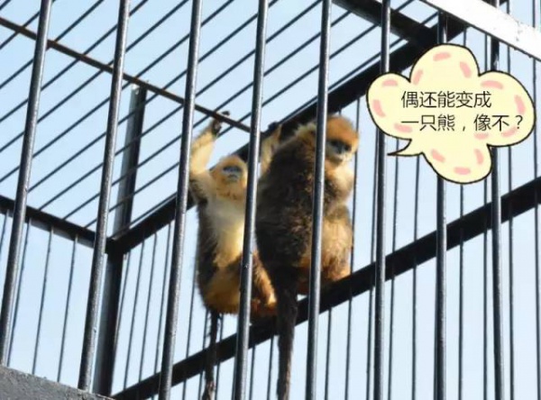 心情不好的時候，到廈門這些地方走走，瞬間治愈！