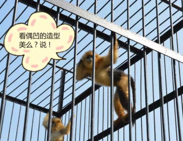 心情不好的時候，到廈門這些地方走走，瞬間治愈！