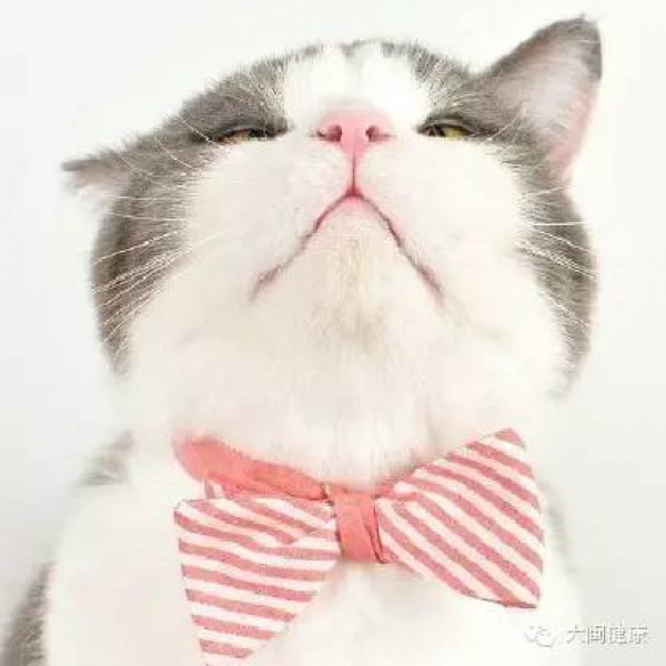 空心草莓都是用激素催熟的嗎？這幾種草莓不能買！