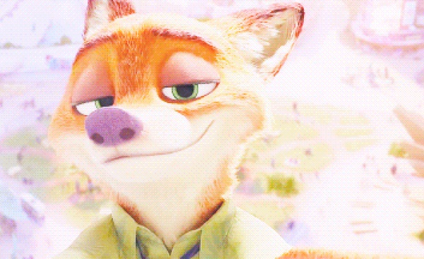 集美版“瘋狂動物城”來啦保證萌翻你！