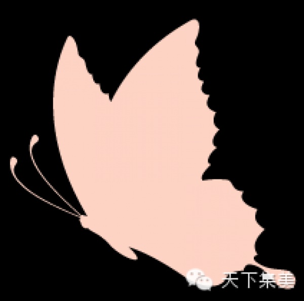 集美版“瘋狂動物城”來啦保證萌翻你！