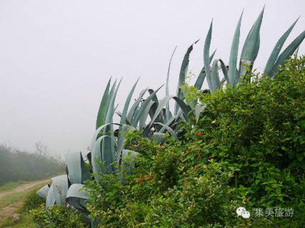 集美周邊游|鎮(zhèn)海衛(wèi)，守一段天涯海角晴雨時！