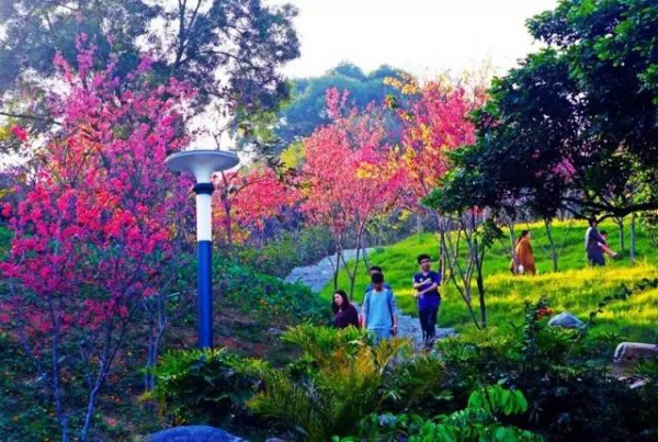廈門(mén)新增這么多公園，快看看有你家附近的嗎！？