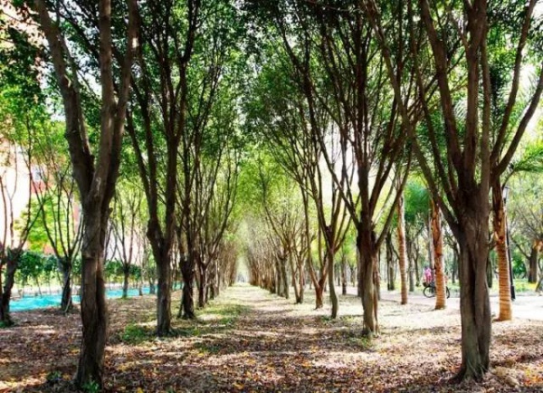 廈門(mén)新增這么多公園，快看看有你家附近的嗎！？