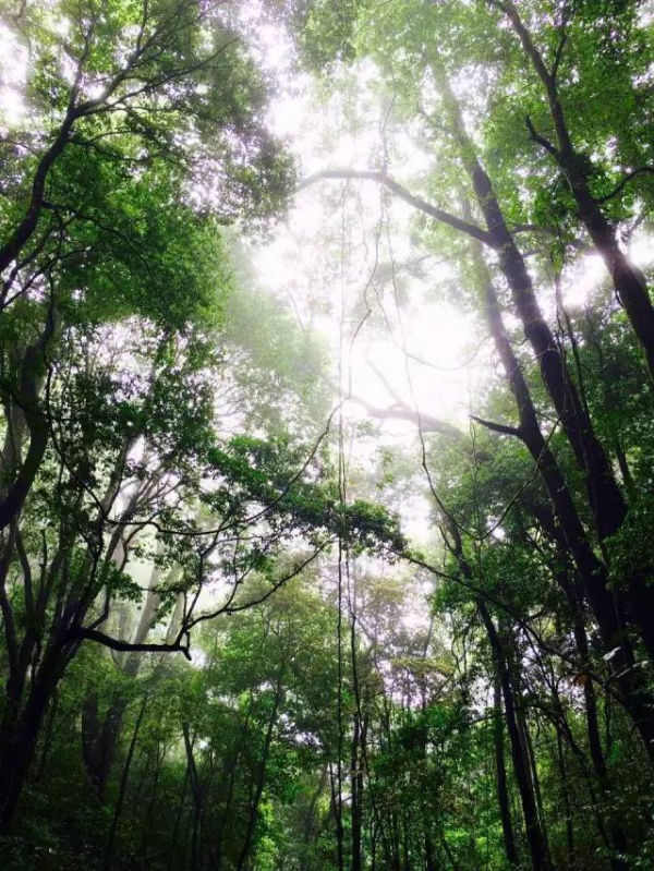 6月18、19日享四重福利，贏大獎—龍巖九溪廬漂流一日游等你來奪冠！（轉發立即減免10元）