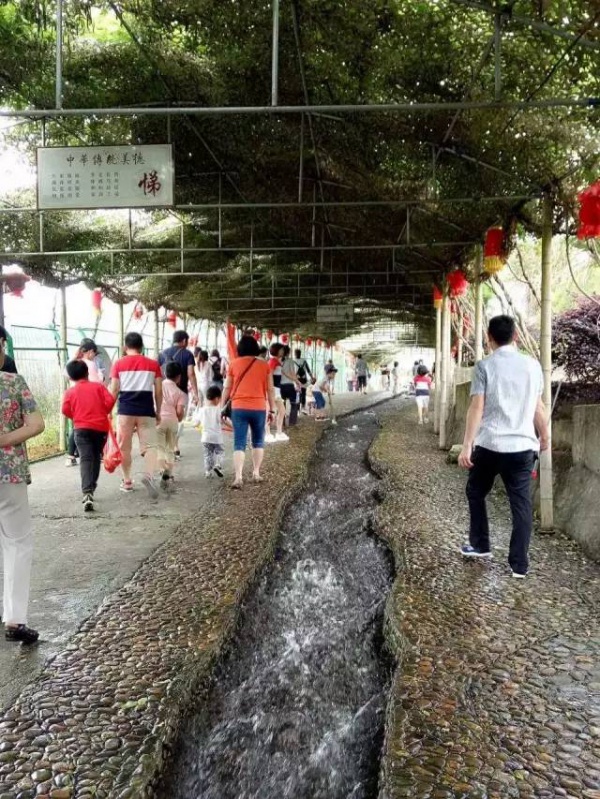 6月18、19日享四重福利，贏大獎—龍巖九溪廬漂流一日游等你來奪冠！（轉發立即減免10元）