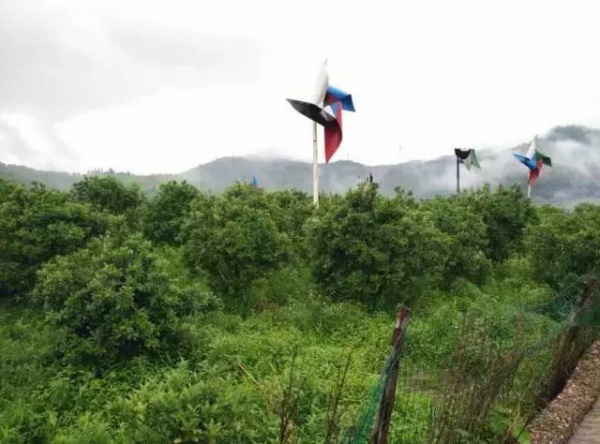 6月18、19日享四重福利，贏大獎—龍巖九溪廬漂流一日游等你來奪冠！（轉發立即減免10元）