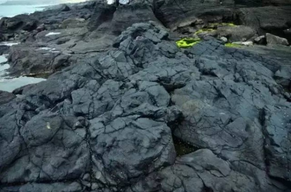 漳州濱海火山島地質(zhì)文化公園一日游/天天發(fā)團