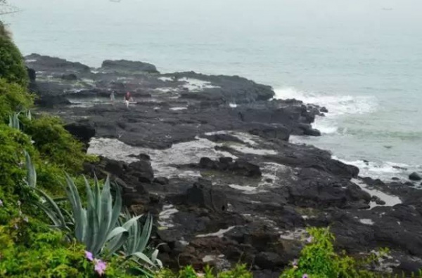 漳州濱海火山島地質(zhì)文化公園一日游/天天發(fā)團