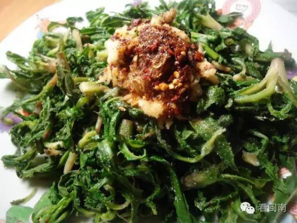 布衣暖菜根香讀書滋味長(zhǎng)