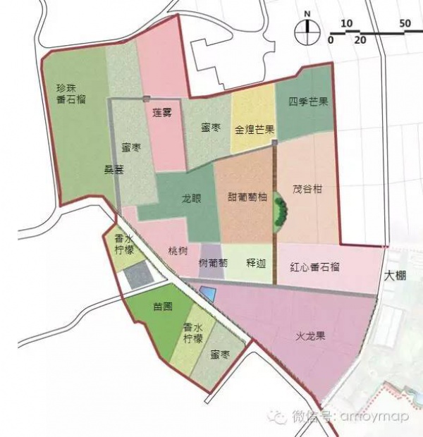 翔安內厝有個水果觀光園，你知道嗎？