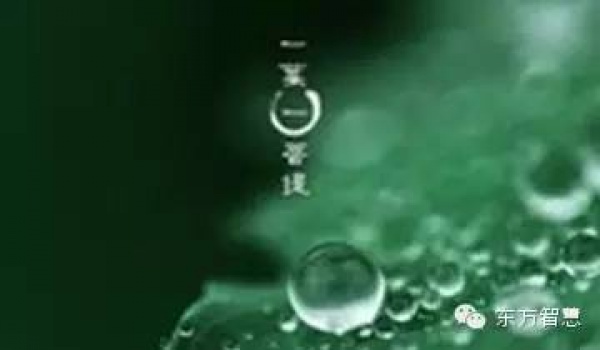 跑什么，前面也在下雨（經(jīng)典）