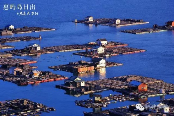集美周邊游丨這些絕美露營(yíng)地，我要挨個(gè)浪過去，你來嗎？