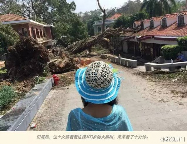 一起見證廈門奇跡，這座滿目瘡痍的城市已經傷愈！