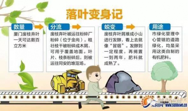 廈門60萬株樹木被臺(tái)風(fēng)吹倒，它們都去哪了？還有13.5萬株等待回種....
