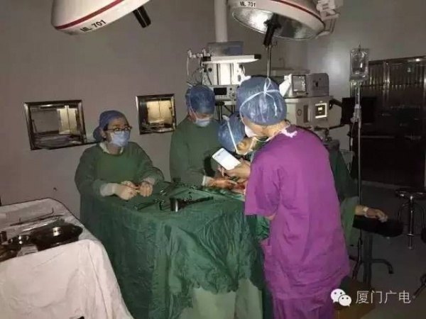 官方通報！莫蘭蒂破壞力遠超1999年！供水、供電、交通、菜價...最全信息都在這??！