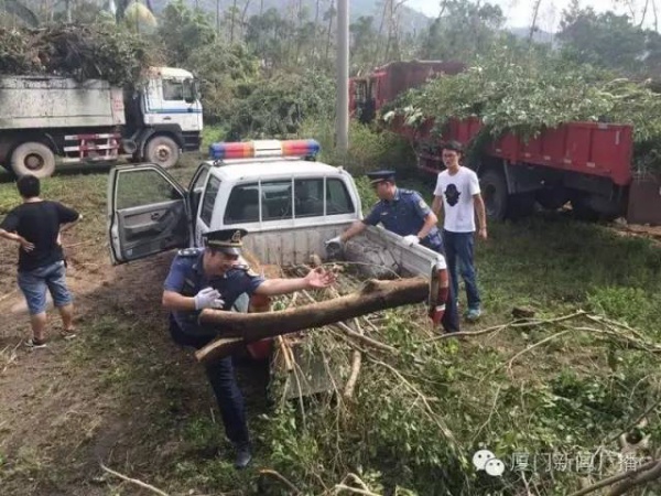 慘遭最強臺風蹂躪，廈門人居然還笑得出來