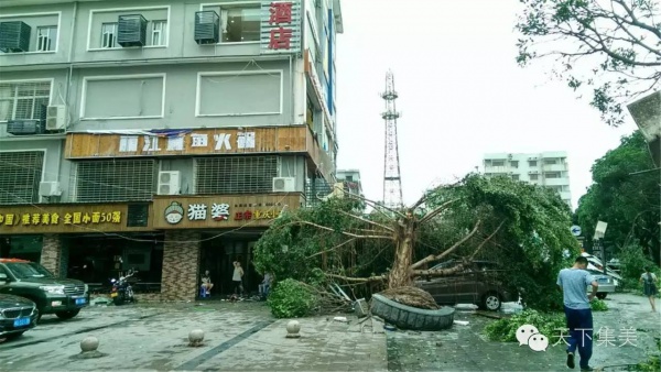 大量獨(dú)家航拍：超強(qiáng)臺(tái)風(fēng)“莫蘭蒂”過境后，集美12小時(shí)震撼實(shí)景……