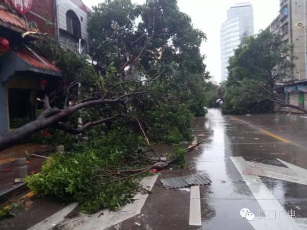 緊急！“鲇魚”路徑直指廈門！風圈比“莫蘭蒂”大一倍！廈門又拉警報了…