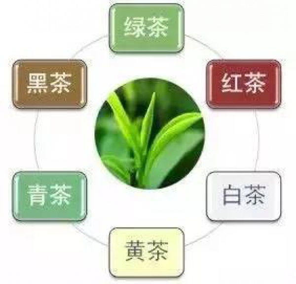 什么體質喝什么茶，絕對值得你收藏！