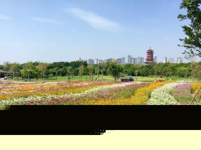 2017園博苑大改變，網友直呼太驚艷！