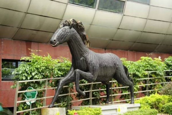 【嘩！】元旦節假期好去處：廈門風車游樂園開園了，無限量門票免費送！