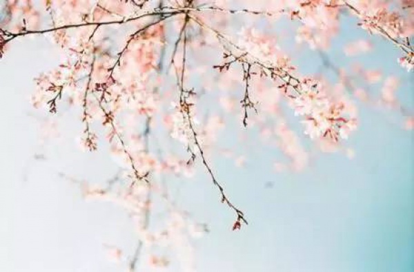 春風(fēng)到，百病發(fā)！收好這份防病指南，家有老人孩子的尤其要看