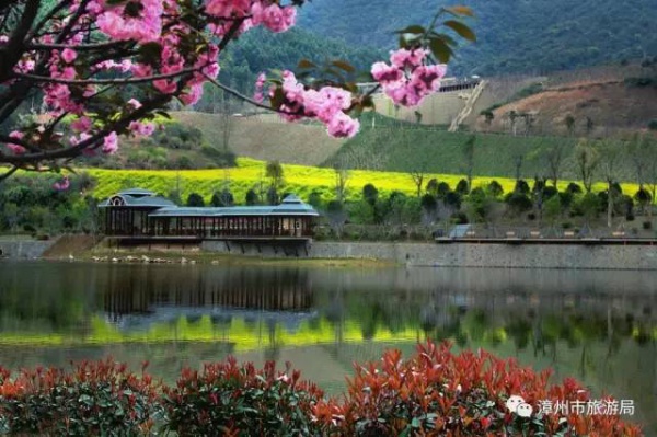三月將至，花開(kāi)當(dāng)時(shí)，賞櫻之行要提上日程了！