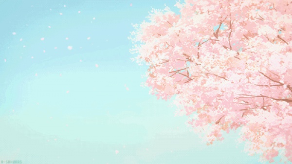 三月將至，花開(kāi)當(dāng)時(shí)，賞櫻之行要提上日程了！