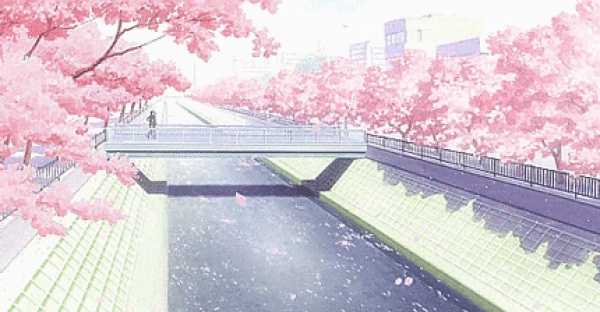 三月將至，花開(kāi)當(dāng)時(shí)，賞櫻之行要提上日程了！