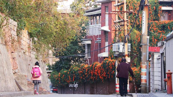 重回廈門(mén)10年前的文藝圣地，在記憶中的咖啡館虛度時(shí)光…
