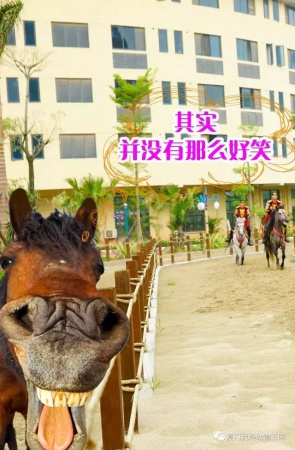 探索新奇的動物知識和傳統(tǒng)的古龍醬文化，來場一日游吧！