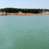 鱷魚(yú)嶼