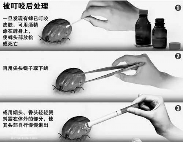 重要提醒：這些病廈門已經(jīng)進入高發(fā)季，治療不及時可能喪命！