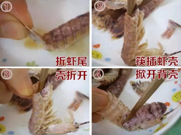 廈門人必備手冊！老漁民寫的海鮮年歷，教你怎么應季吃海鮮！