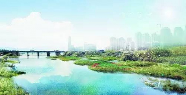 驕傲！杏林灣濕地公園再添“新名片”，廈門市唯一上榜，再過(guò)不久要驚艷登場(chǎng)！