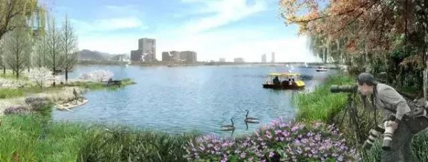 驕傲！杏林灣濕地公園再添“新名片”，廈門市唯一上榜，再過(guò)不久要驚艷登場(chǎng)！