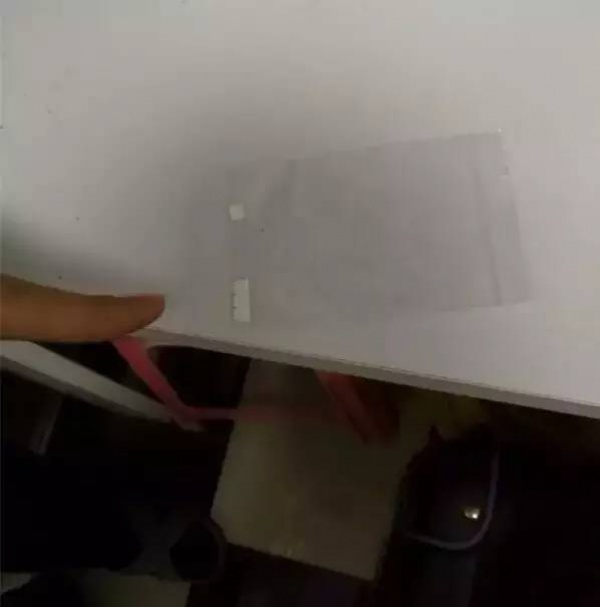 警惕！看到這種“郵票”千萬(wàn)別碰，毒性極強(qiáng)還會(huì)通過(guò)皮膚吸收