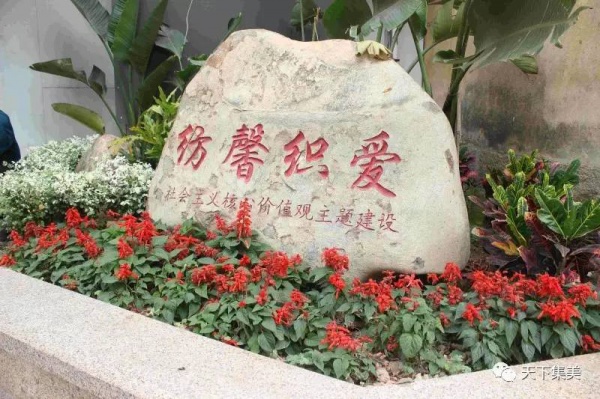 驚喜！集美這個(gè)“老牌社區(qū)”華麗變身，未來還有這些示范點(diǎn)，看看在你家附近不？